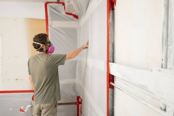 Best Mold Remediation for Healthcare Facilities  in Sur Hill, GA