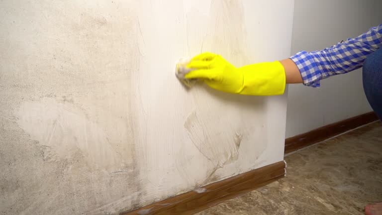 Best Biohazard Mold Removal  in Sur Hill, GA