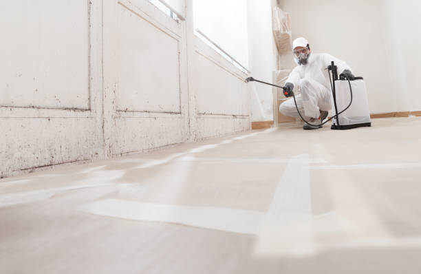 Best Mold Odor Removal Services  in Sur Hill, GA