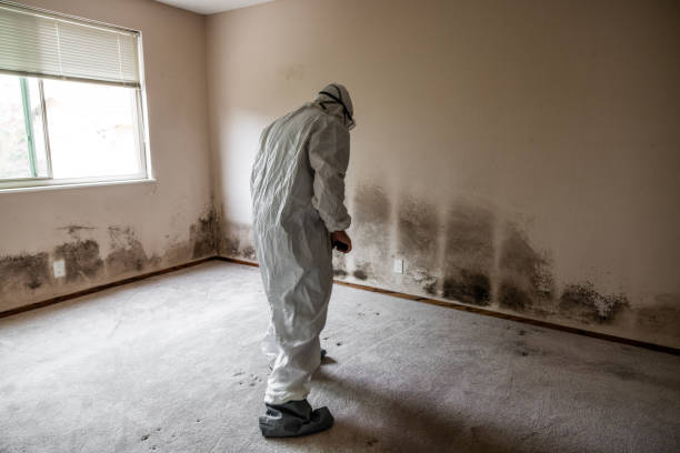 Best Residential Mold Inspection & Testing  in Sur Hill, GA